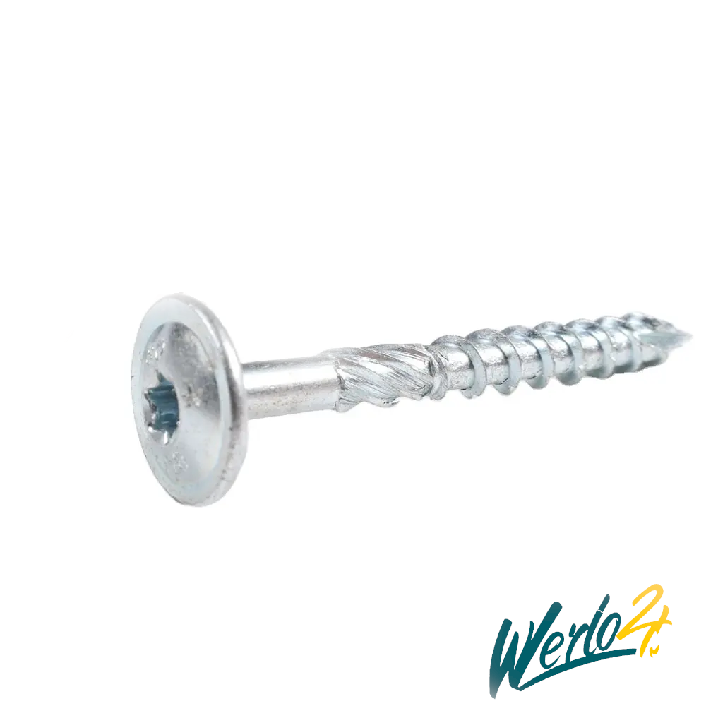 6,0mm Tellerkopf (TX30) verzinkt