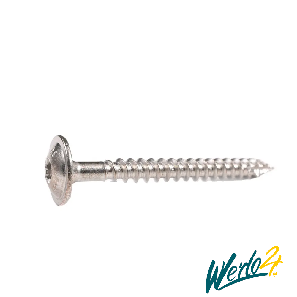 8,0mm Tellerkopf (TX40) A2 Edelstahl